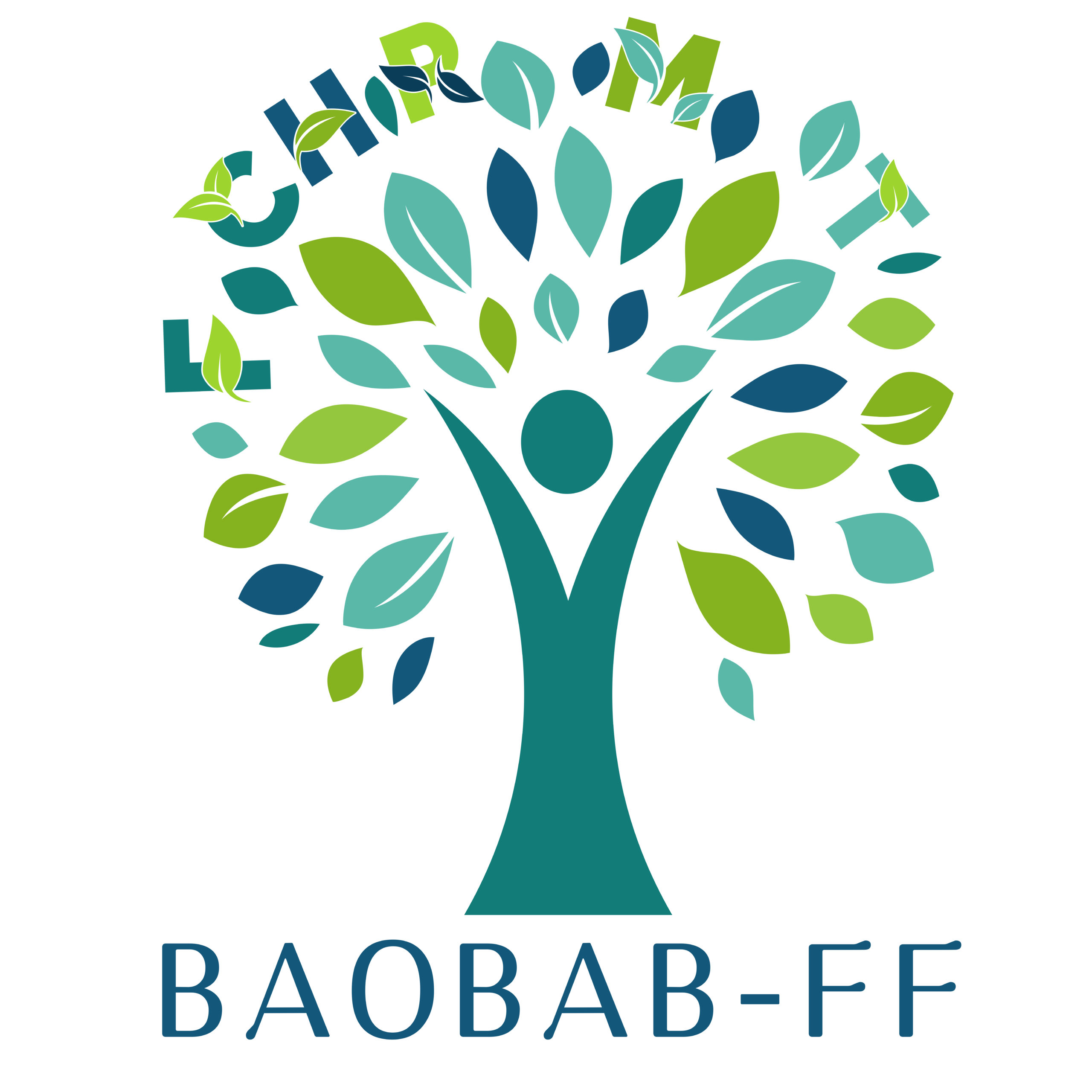 Logo Baobab Formation Financeur